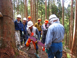 f0000771_8294358.jpg