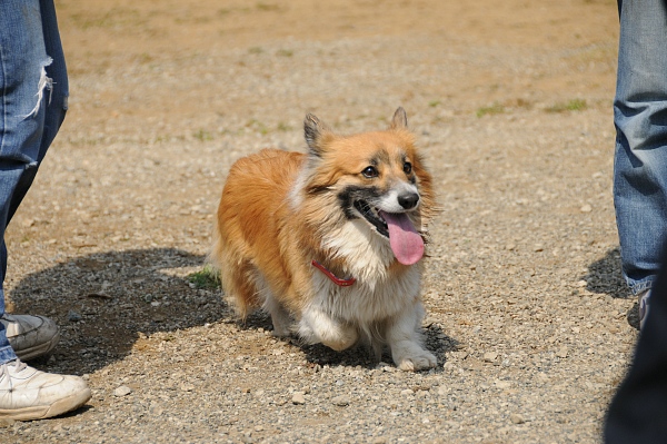 とぶき　200903 14_c0109780_16192038.jpg