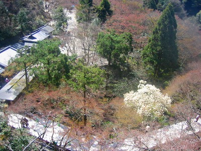 京都シリーズ④　春の清水寺を愉しむ_b0011584_8253843.jpg