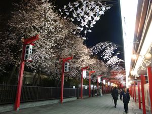 渋谷で!!_e0149596_2053748.jpg