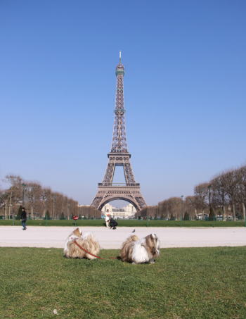 c0090198_4321877.jpg