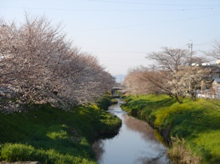 e0143298_17511044.jpg