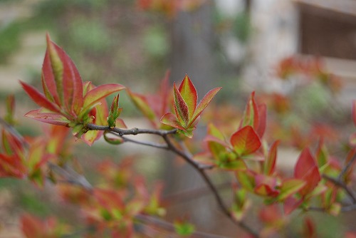 c0124100_1418384.jpg