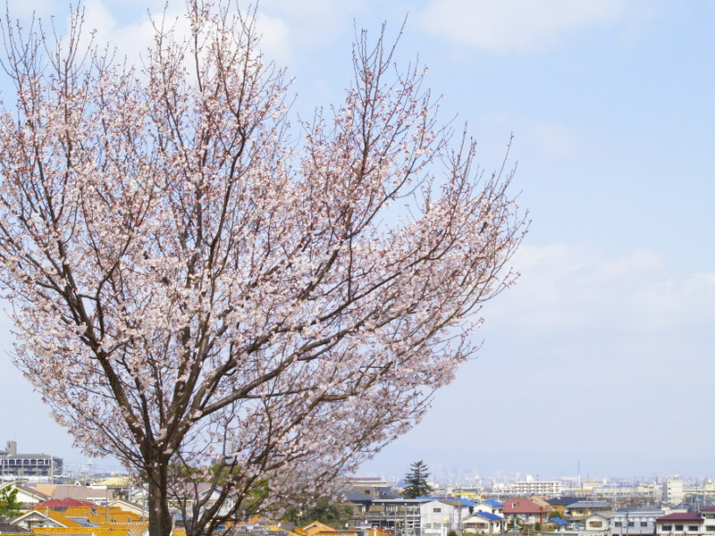 狭山池公園⑥_b0138101_185051.jpg