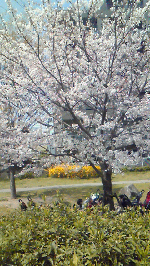 ぽかぽか~_f0195703_13382334.jpg