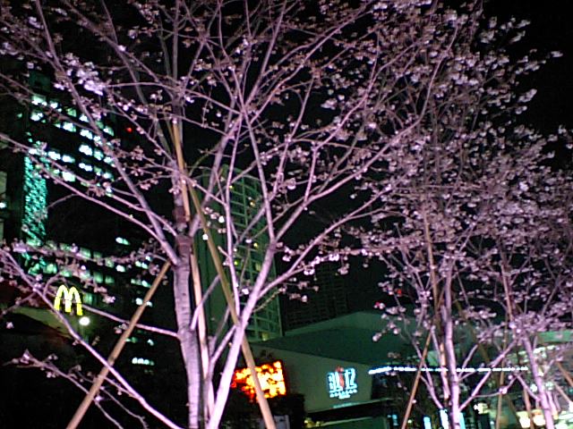 d0054704_20652.jpg