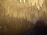 e0021004_22293129.jpg