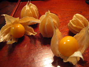 e0118904_23321592.jpg