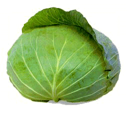 f0162309_21151773.gif