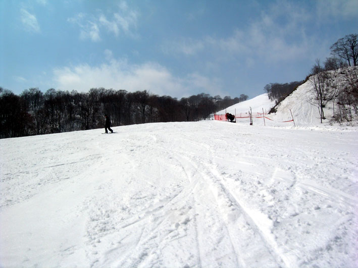 c0078410_035364.jpg