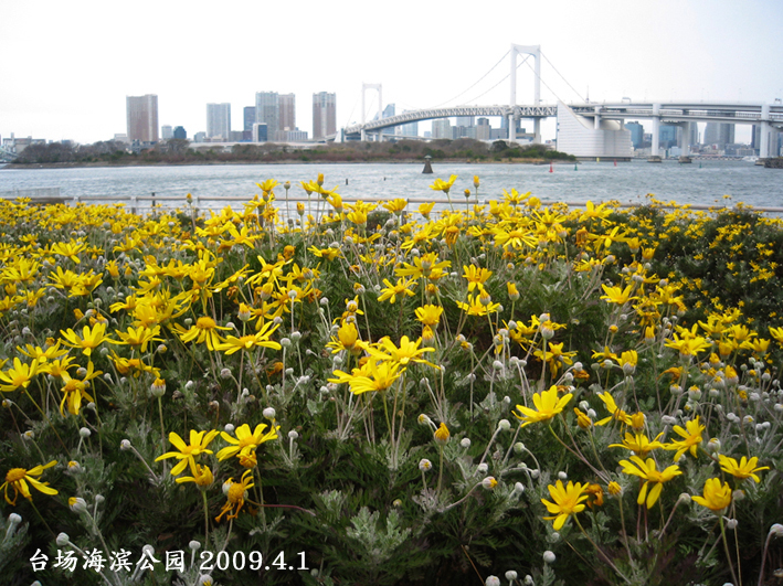 f0199618_1141401.jpg