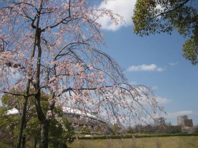 広島広域公園・広島ビッグア-チ！_a0105023_17223268.jpg