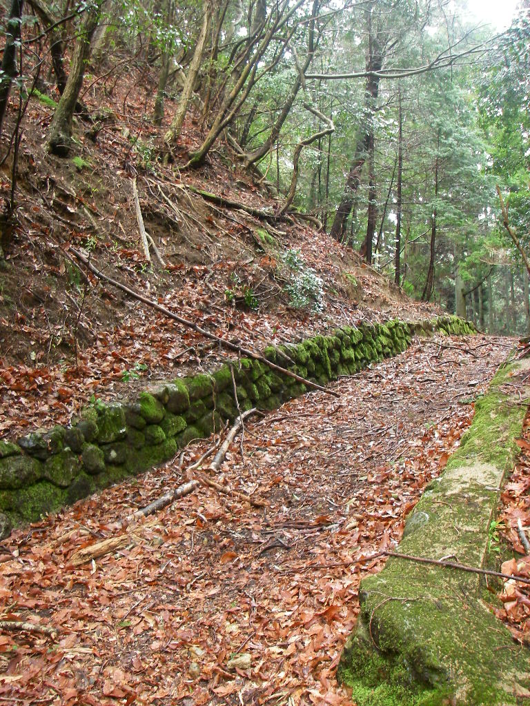 c0189724_10202199.jpg