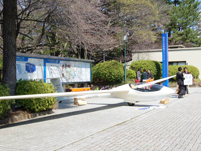 桜パトロール。_a0026127_15502634.jpg