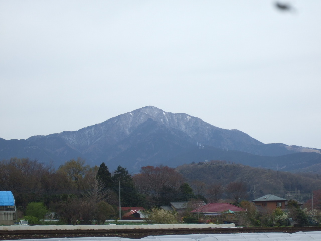 春なのに....丹沢...大山に雪が!_b0137932_16284853.jpg
