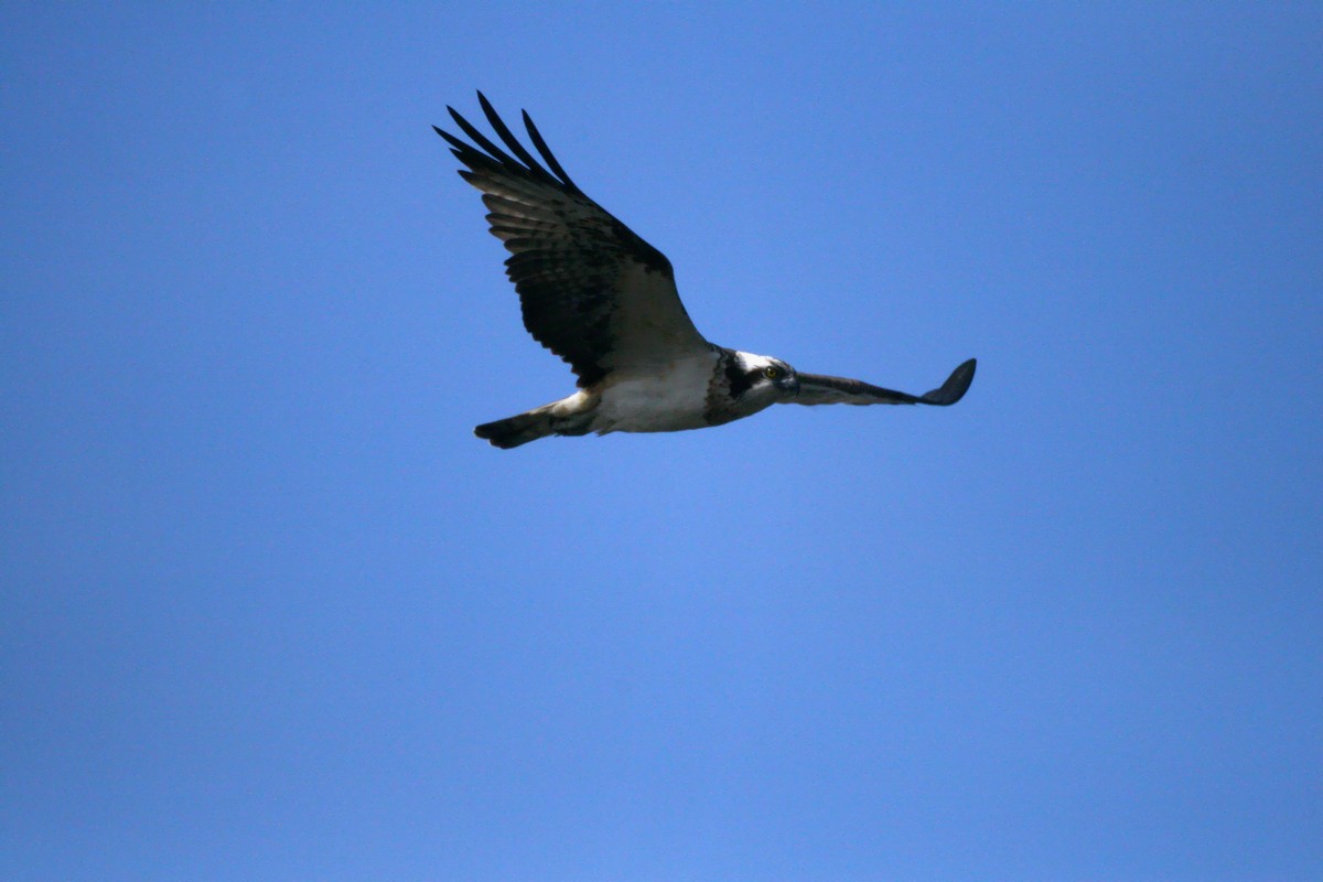 e0154134_0571828.jpg
