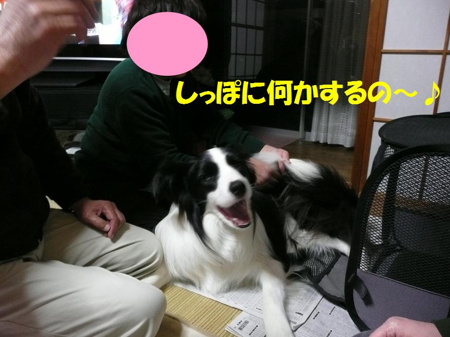 c0147241_11527.jpg