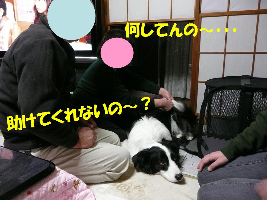 c0147241_1155219.jpg