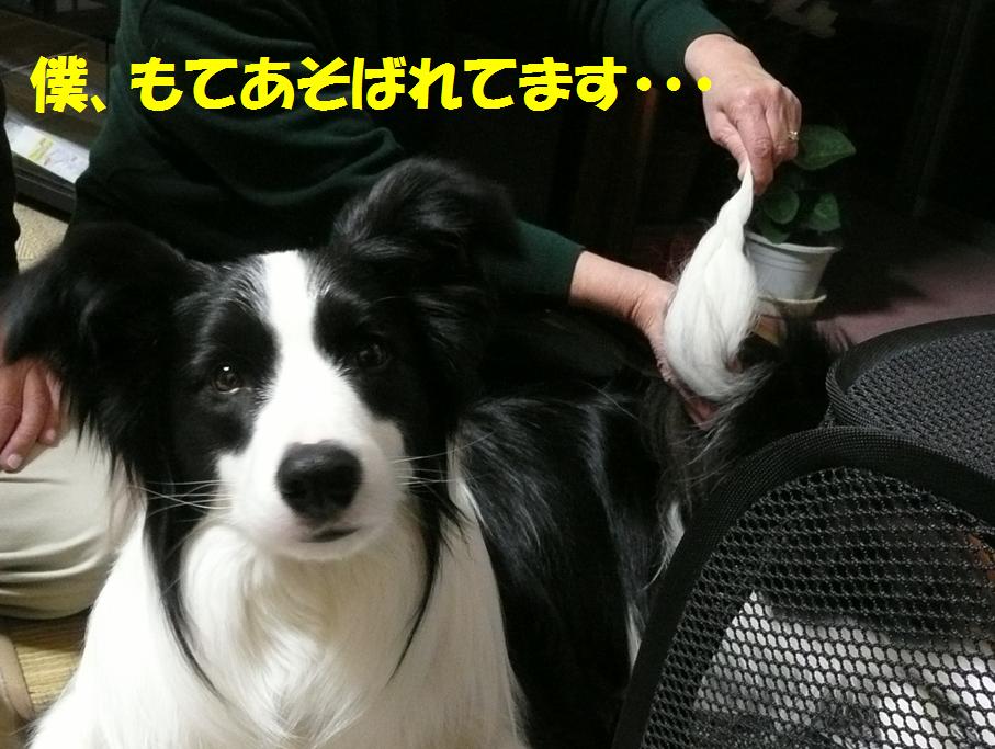 c0147241_1164813.jpg