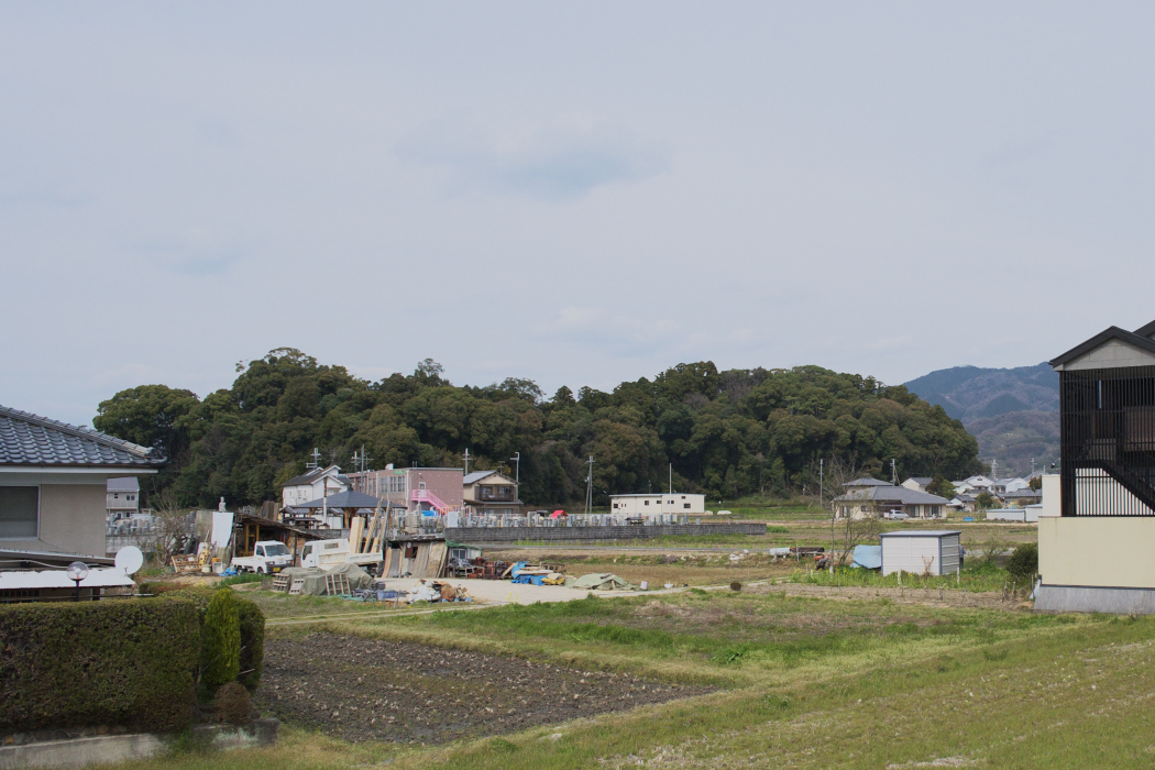 d0001745_8464581.jpg