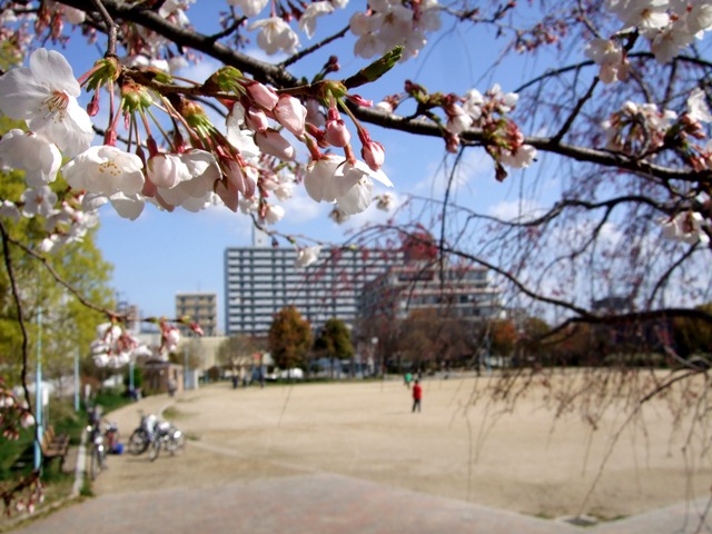 b0060646_20233998.jpg