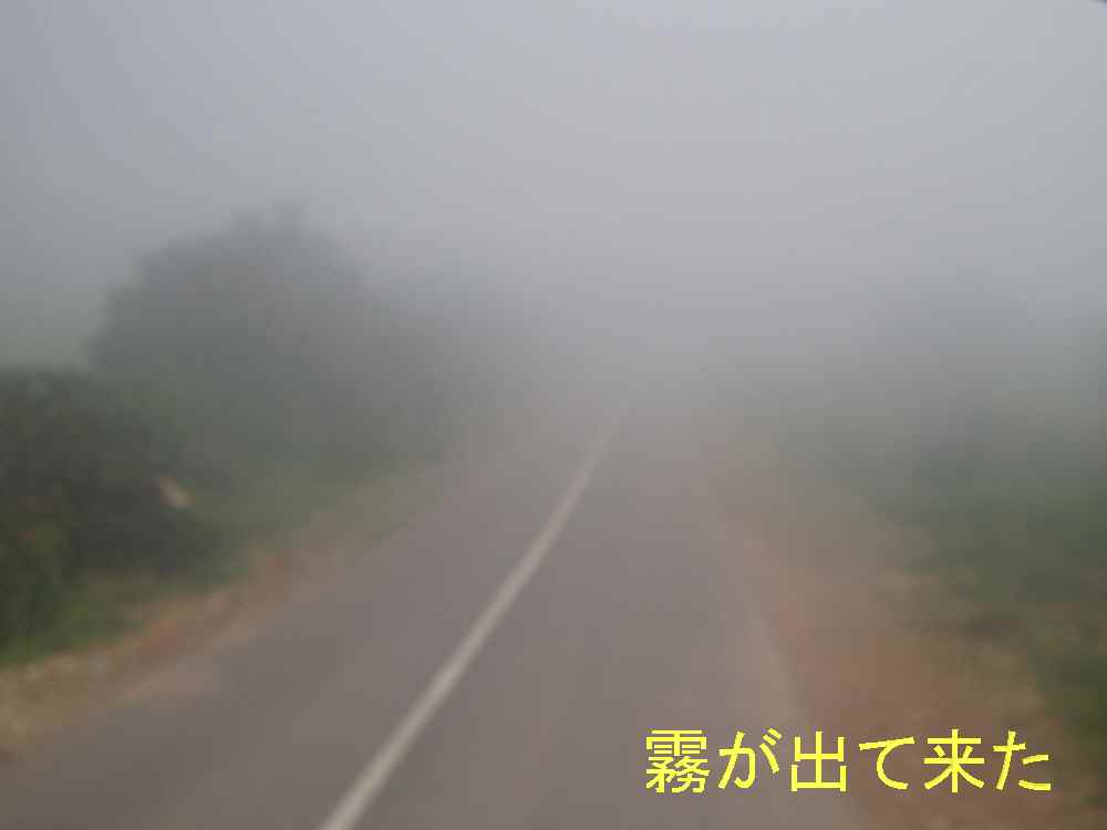 b0082147_23241056.jpg