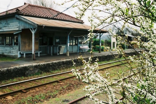 小湊鐵道　　　乗ったり降りたり_b0133447_0472656.jpg