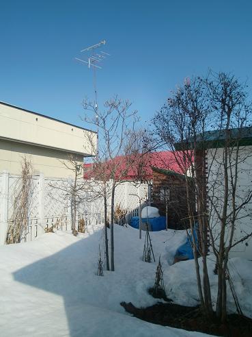 a0075455_90840.jpg