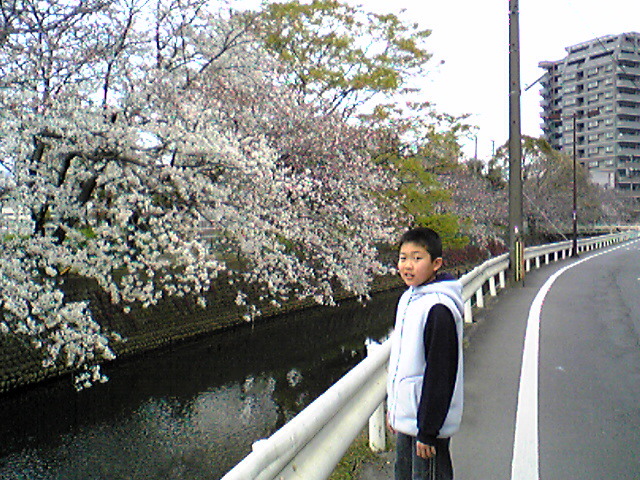 桜とSL_c0138868_725177.jpg