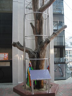 図書館の「頓田の森」コーナー_f0167672_16524898.jpg