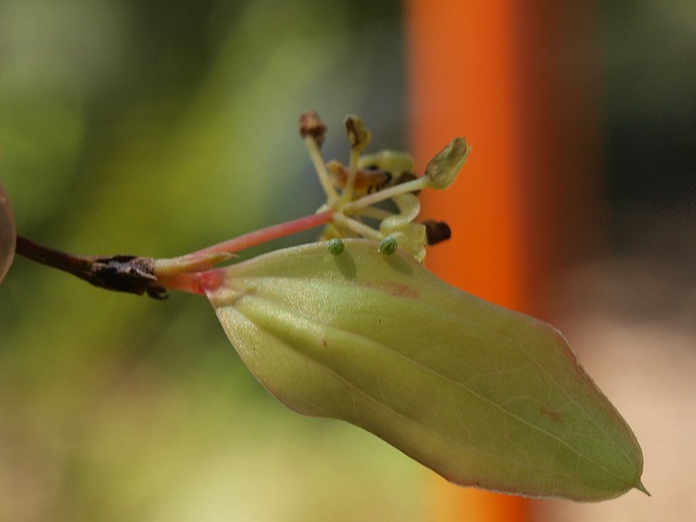 b0135573_1811241.jpg