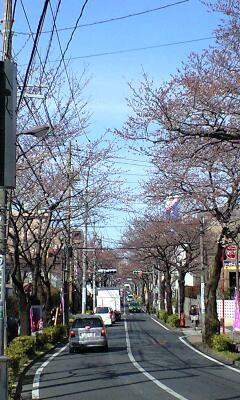 b0144579_1245822.jpg