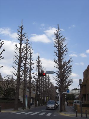 e0142979_21125465.jpg