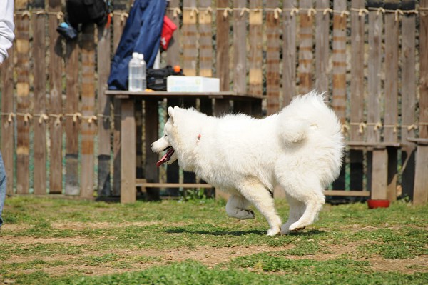 とぶき　200903 15_c0109780_20271174.jpg