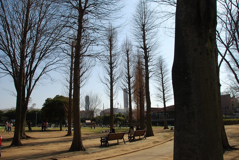 c0187781_1005752.jpg