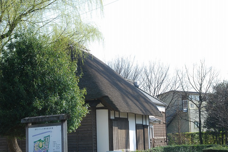 c0187781_1635561.jpg