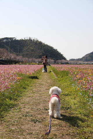 月曜日はお花見～～～♪_b0104592_23144914.jpg