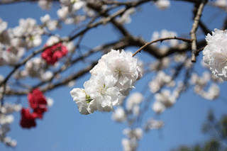 f0119193_21572426.gif