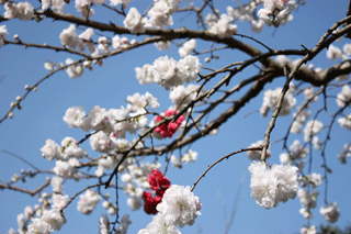 f0119193_2215578.gif