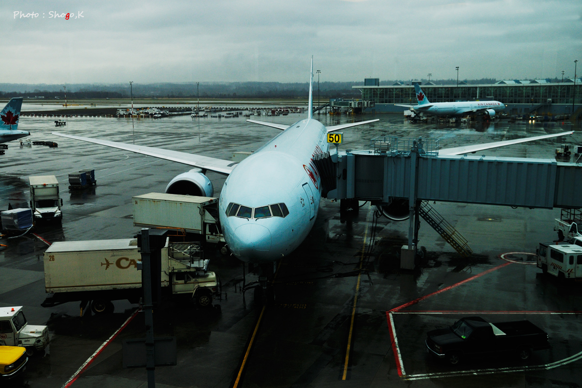 f0186496_1222484.jpg