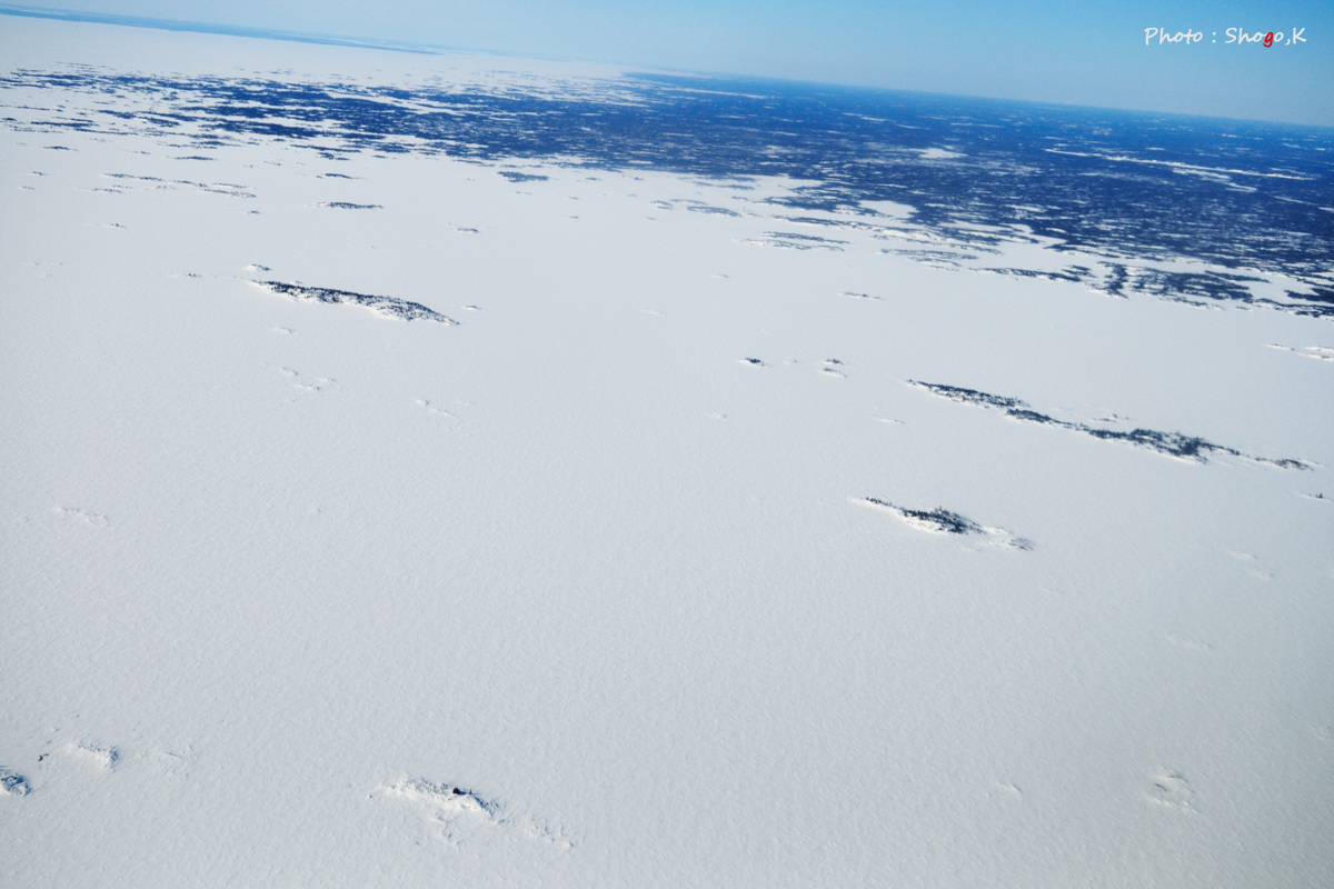 f0186496_1223449.jpg