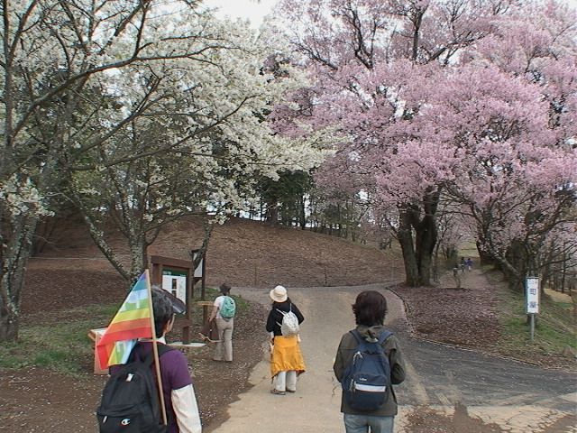 地域の花巡りピースウォーク_e0105099_11223982.jpg