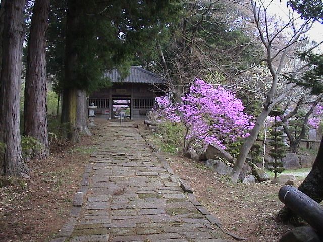 地域の花巡りピースウォーク_e0105099_11231144.jpg
