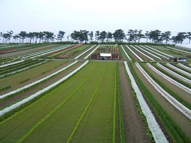 c0037701_20204368.jpg