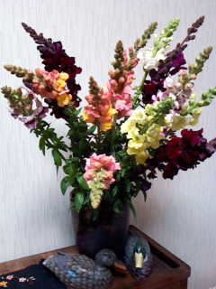 c0037701_20214349.jpg