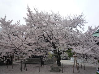 e0011102_1556146.jpg