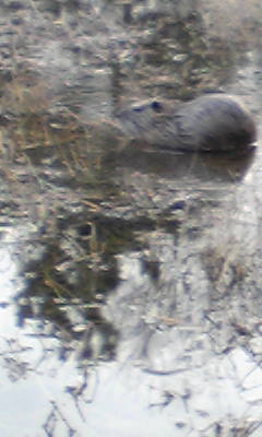 c0180209_1984786.jpg
