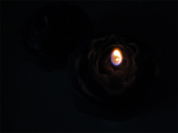 f0174109_2315326.jpg
