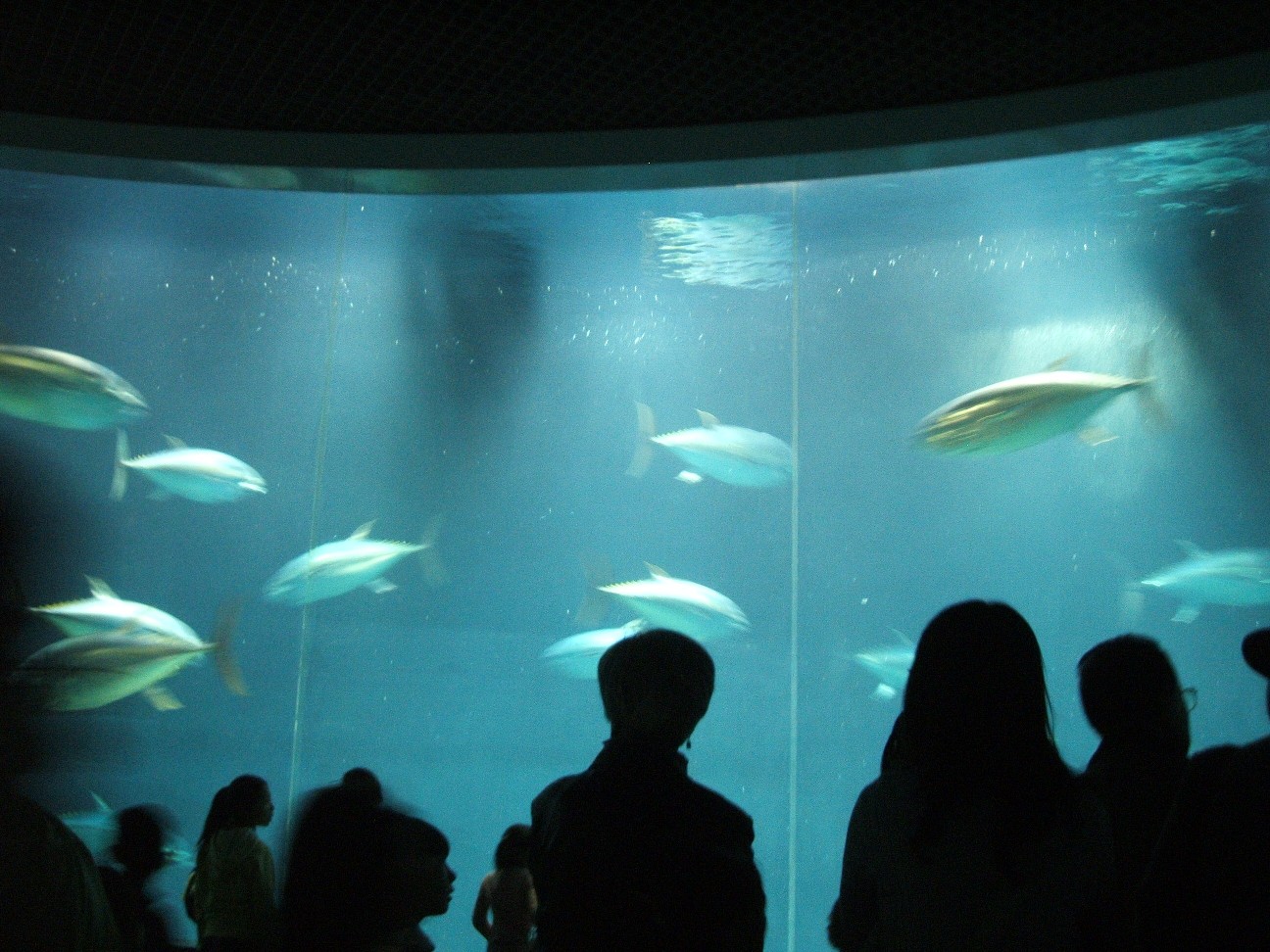 b0061010_1640483.jpg