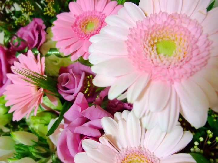c0163210_1395124.jpg